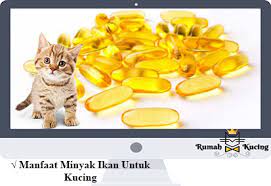 Wajib Tahu 6 Manfaat Minyak Ikan Untuk Kucing Yang Efektif