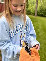 This cute little Towhee was belting out its beautiful song like a mini  Opera Singer! Warmed up my day... loupho.com