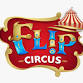 Flip Circus event in Bronx, NY