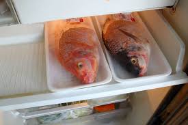 Mimpi tentang makan ikan menandakan kabar baik yang akankamu terima segera bermimpi tentang ikan yang berbau busuk: Terungkap Cara Pedagang Menyimpan Ikan Laut Agar Tak Busuk Dan Awet Berhari Hari Buang Bagian Ini Jadi Kuncinya Semua Halaman Sajian Sedap