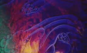 Use placeit's youtube templates to create awesome banners, thumbnails, and end cards for your channel art. Funny Gifs Oil Gif Vsgif Com