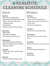 realistic cleaning chart 2 cleaning hacks toilet