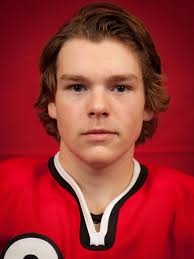 24th Annual Free Press All-State Boys Hockey Team