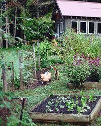Organic Gardening Organic Vegetable Garden Organic Gardening Tips Farm Gardens