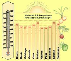 when garden soil ready planting soil test the old farmers