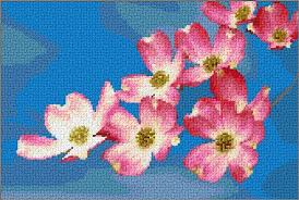 Where is the free dogwood flower crochet pattern please? Dogwood Flowers Cross Stitch Designs