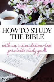 It is for christians wanting a firm grounding in their faith. How To Study The Bible For Beginners Free Inductive Bible Study Guide