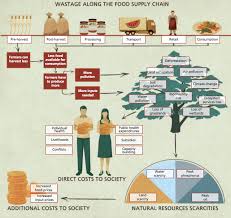 Food Waste Causes Effects And Solutions Farm Together