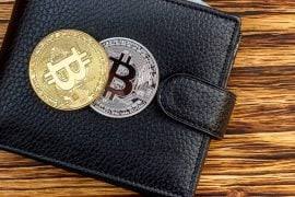 Cele mai bune portofele bitcoin 2021. Portofel Bitcoin Afla Care Este Cel Mai Bun Si De Ce Iti Trebuie Goana Dupa Bitcoin