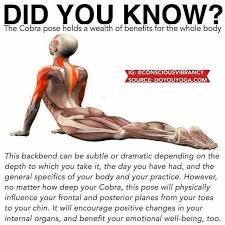You Can Only Do These Stretches After Flaying Your Skin Yoga Benefits Yoga Anatomy Cobra Pose