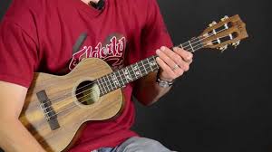 2021'in başlıca renk trendleri geçtiğimiz yılın bütün karamsarlığını ve umutsuzluğunu unutturarak umut. The 6 Best Kala Ukuleles In 2021 Experts Choice