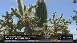 Moon valley and cactus meet in the playoffs two weeks after the tragic death of moon valley player carlos sanchez. Saguaro National Park Showcases Arizona S Desert Landscape 12news Com