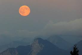 Diese wunderbare route führt dich zu den berggipfeln von disentis, beginnend im catrina resort und endend in cuolm da vi. Vollmond Im August Picture Of Naturpark Dobratsch Villach Tripadvisor