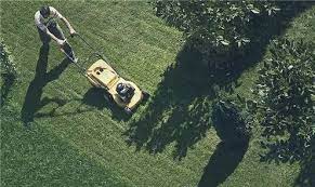 Contact local realtors for buying or selling lake property, we are lake home. Minnesota Landscaping And Yard Service Businesses For Sale Bizbuysell