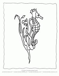 Search images from huge database containing over 620,000 coloring pages. Camouflage Coloring Pages Coloring Home