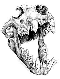 New Drawing Animals Baby Design Reference 67 Ideas Animal Skull Tattoos Skull Art Art