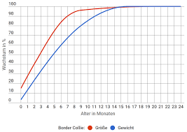 Schreiben sie eine postkarte an ihren freund: Border Collie Wachstum Grosse Und Gewicht Mit Tabellen Kurven