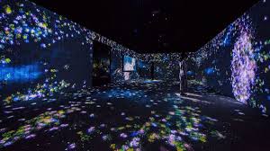 Get growing tips on all the bright flower varieties from hgtv. Teamlab Flutter Of Butterflies Beyond Borders Teamlab