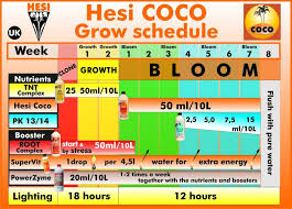 Credible Hesi Feeding Chart 2019