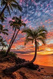 Lani Aina Nature Photography Beautiful Landscapes Beach Photography