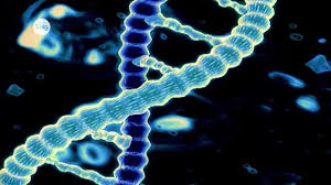 Modifikation ist normalerweise eine kleine änderung, während revision eine vollständige änderung des originals sein kann. Genetische Modifikation Erklart Inkl Ubungen