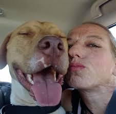 Closed: The east bank of the Santa Cruz Loop is closed from south of Orange  Grove to the Rillito River