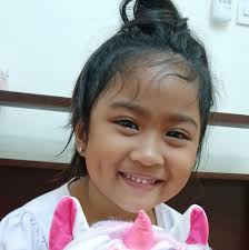 Why are my variegated rubber plant leaves browning?