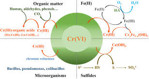 The main differences between cations and anions are summarized in the table below. A Review Of The Formation Of Cr Vi Via Cr Iii Oxidation In Soils And Groundwater Sciencedirect