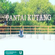 Pantai yang tergolong masih baru ini, memiliki tiket masuk pantai seharga sekitar rp 2000. Pantai Kutang Destinasi Wisata Di Lamongan Yang Bikin Penasaran Kumparan Com