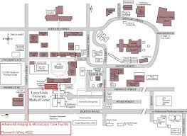 Jsuh School Of Medicine