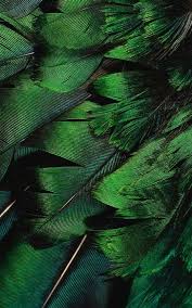 Pin By Andrea Bautista On The Definition Of Beauty Green Aesthetic Green Carnation Green Pictures