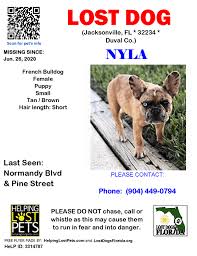 I began raising french bulldog puppies in 2011. Lost Dogs Florida On Twitter Lost Dog Have You Seen Nyla Lostdog Nyla Jacksonville Normandy Blvd Pine Street Fl 32234 Duval Co Lost Dog 06 26 2020 Female French Bulldog Tan