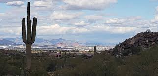 13 facts about the saguaro cactus. About 600 Year Old Saguaro Cactus Cactus