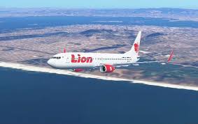 Lion air menawarkan pembelian asuransi perjalanan tambahan secara online. Sudah Periksa Flight Data Recorder Begini Penyebab Jatuhnya Lion Air Jt 610 Versi Knkt