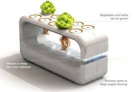 Check out the step by step article at instructables! Indoor Hydroponic Systems The Perfect Idea For A Home Garden