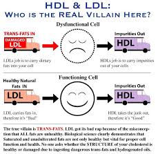Hdl Ldl Nurse Teaching Charting For Nurses Nursing School Tips