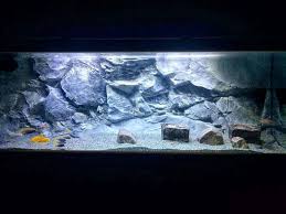 Slim Aquarium Backgrounds 3d Backgrounds Aquadecor Aquarium Backgrounds Aquarium 3d Background