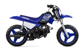 2020 Yamaha Pw50 Trail Motorcycle Model Home