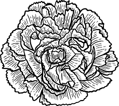 Carnation Flower Svg Flower Svg Flower Clipart Flower Files Etsy In 2021 Flower Svg Flower Clipart Carnation Flower