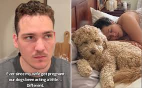 Husband Convinced Dog Getting 'in Between' Marriage, and Photos Prove It