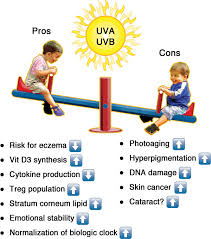 Proceedings of the nutrition society. Vitamin D Is No Substitute For The Sun Journal Of Allergy And Clinical Immunology
