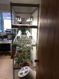 I Built A Pretty Simple Indoor Grow Station I Took A Storage Shelf From The Garage And Four 4 Ft Shop Lights Small Space Gardening Growing Indoors Aquaponics