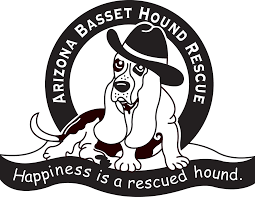 How to find a basset hound. Home Arizona Basset Hound Rescue