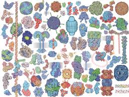 It is used for structures in the protein data bank and is read and written by many programs. Pdb 101 About Molecule Of The Month