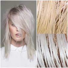 How To Remove Brassy Tones From Bleached Blonde Hair Hair Dye Tips Blonde Hair Color Bleach Blonde Hair