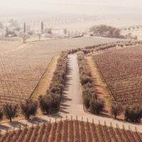 Maurice Nio - le News di professione Architetto