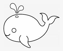 Now we add the lower jaw. Medium Size Of How To Draw A Easy Whale Shark Cartoon Fish White Clipart 728x578 Png Download Pngkit