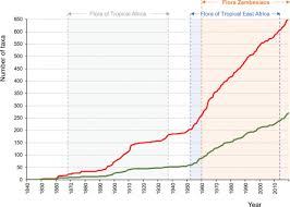 Image result for Oldenlandia verrucitesta