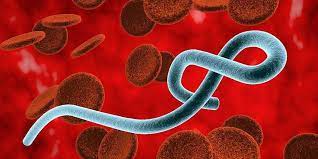 Kasus ini meningkat di tengah laporan bahwa mutasi virus corona yang sangat mudah menular ini terdeteksi di negara itu menyebar ke seluruh dunia. Sejarah Cara Penularan Dan Gejala Virus Ebola Yang Mematikan By Sehat Q Asisten Kesehatan Anda Medium