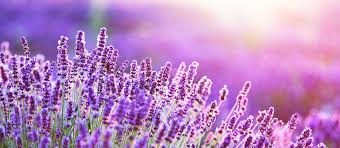 2024 Conference Speakers